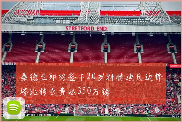 桑德兰即将签下20岁科特迪瓦边锋塔比转会费达350万镑